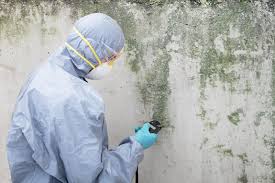 Best Real Estate Mold Inspection  in Lake Mack Forest Hills, FL